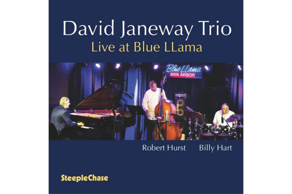 David Janeway Trio:             Live at Blue&nbsp;Llama